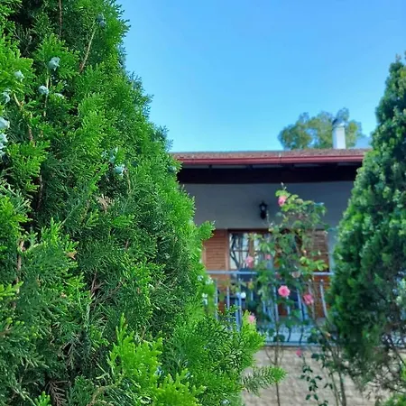 Contessina House 扎金索斯镇